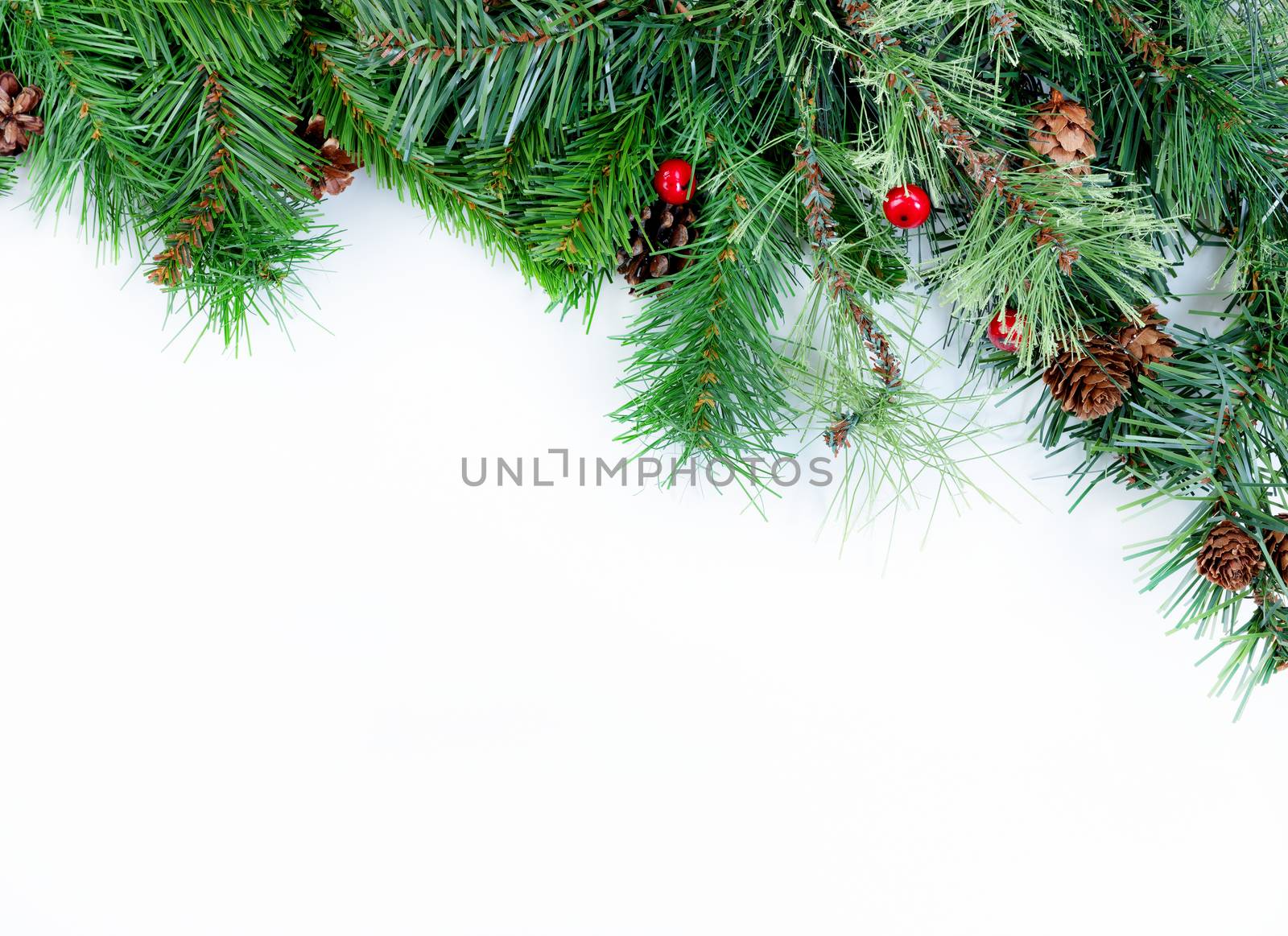 Christmas tree evergreen branches on a white background  by tab1962