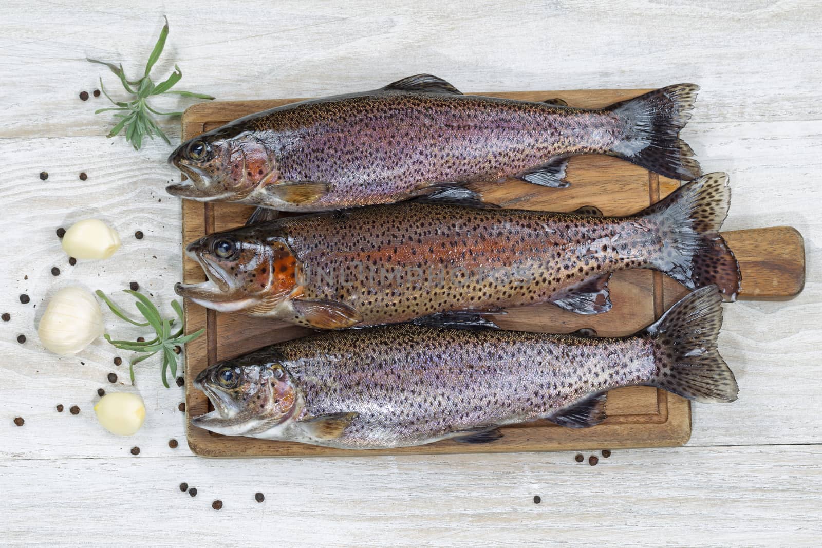 Preparing Trout for Dinner  by tab1962