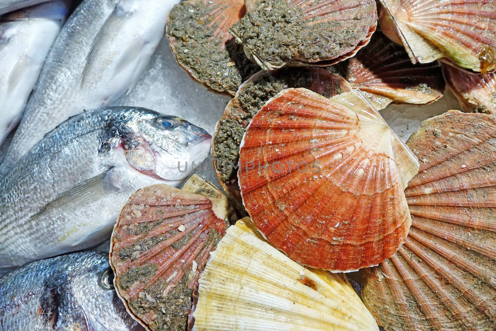 Close up image of fresh clams and fish on crushed ice 