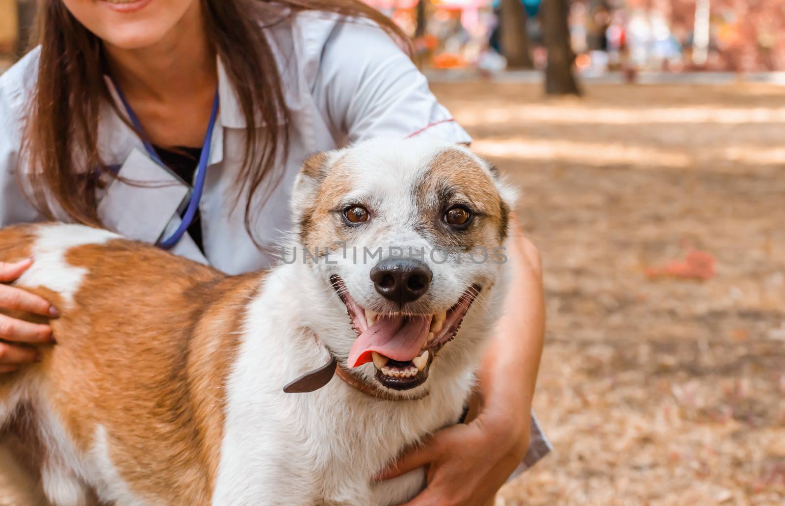 happy grinning dog in the arms of smiling veterinarian woman in a white coat and badge on an autumn lawn