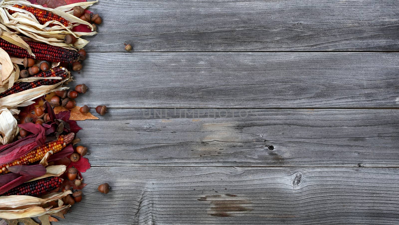 Leaves, corn and acorns on left border of weathered wood for the Thanksgiving Autumn holiday season