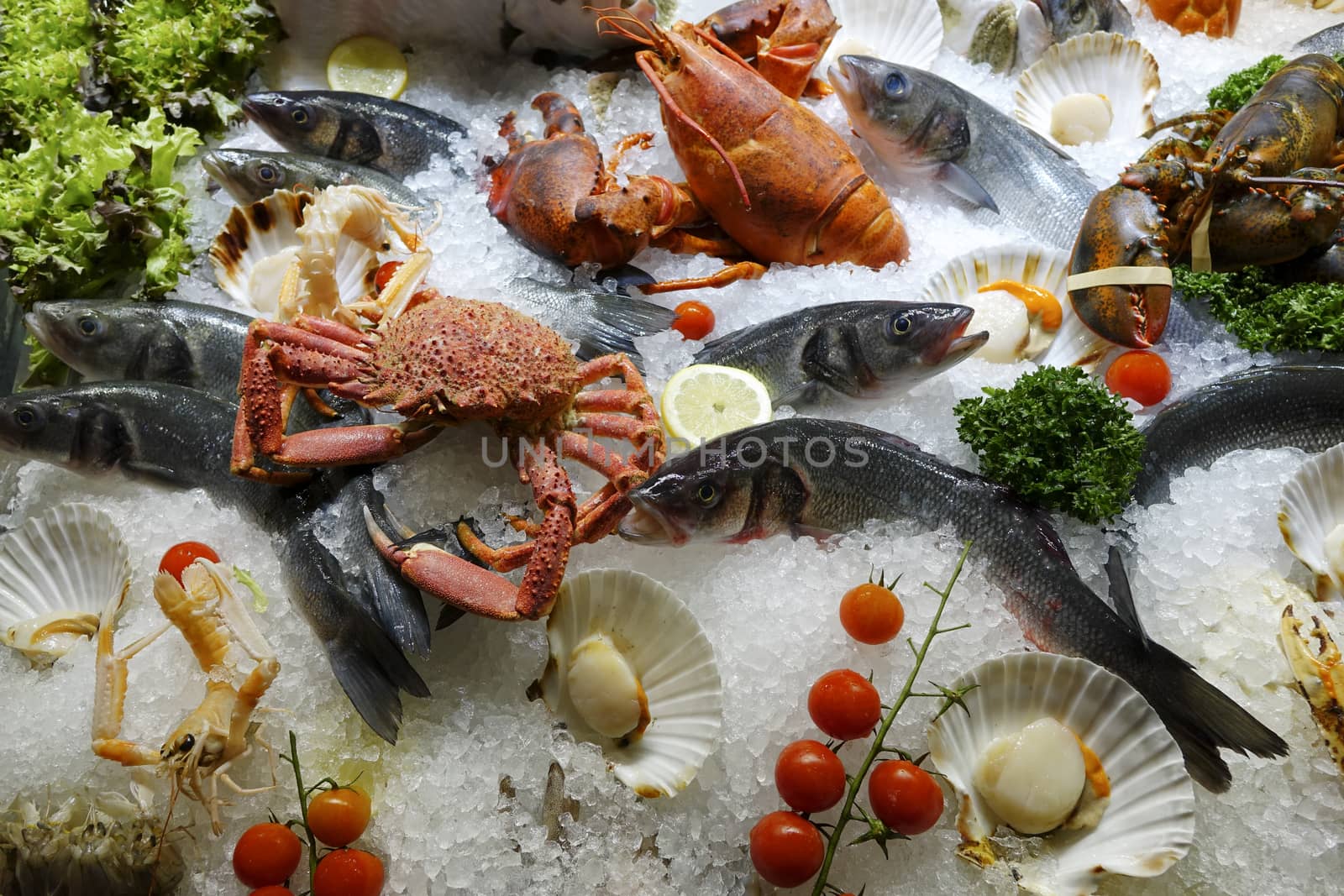 Mixed fresh seafood on ice for the open market in close up top view format