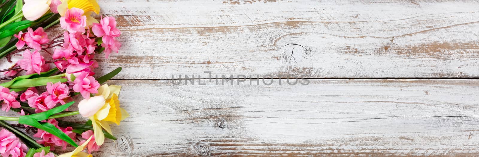 Variety of springtime flowers on white rustic wooden background for seasonal holidays like Easter and Mothers Day 