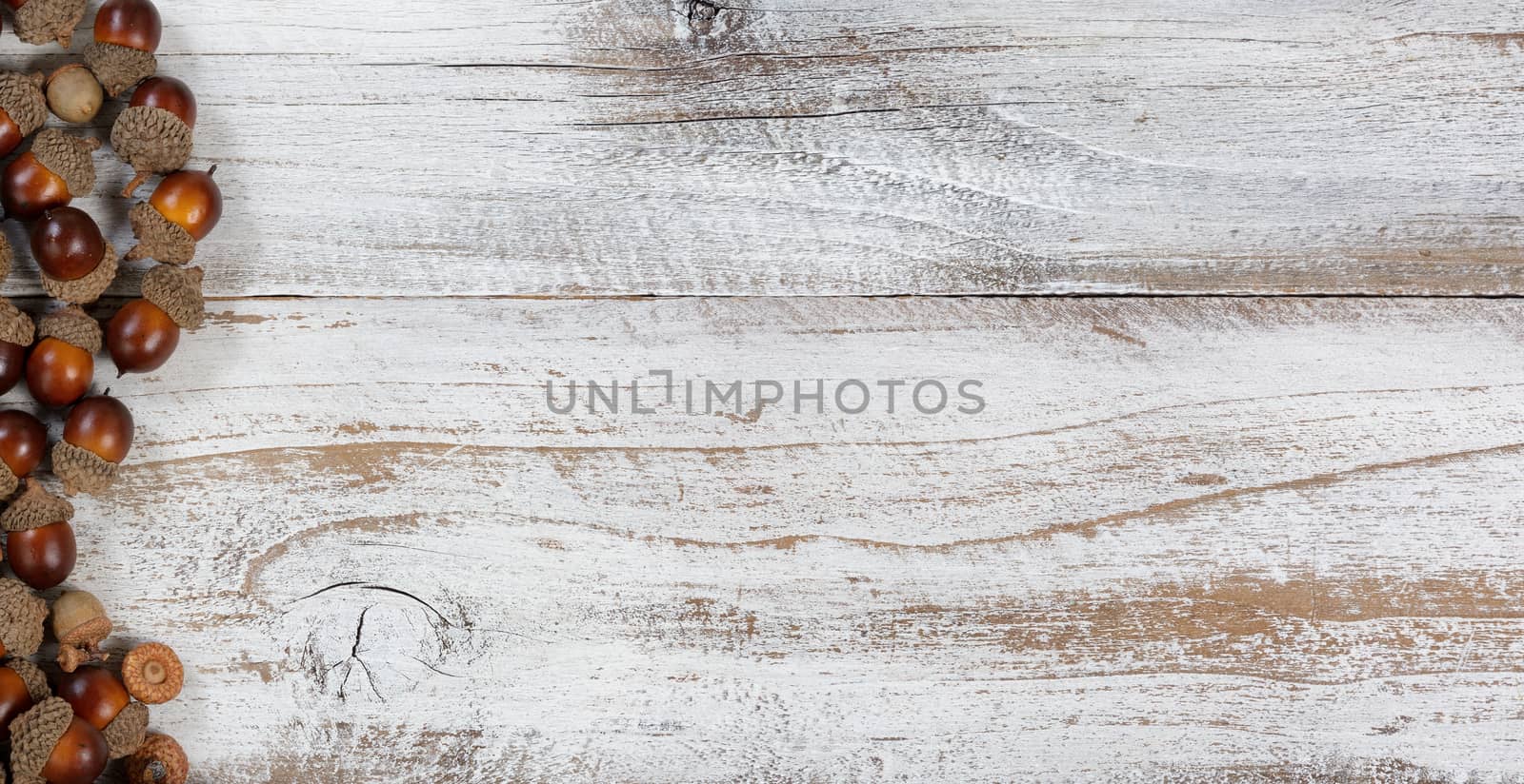 Autumn acorns in flay lay view on rustic white wood with ample copy space