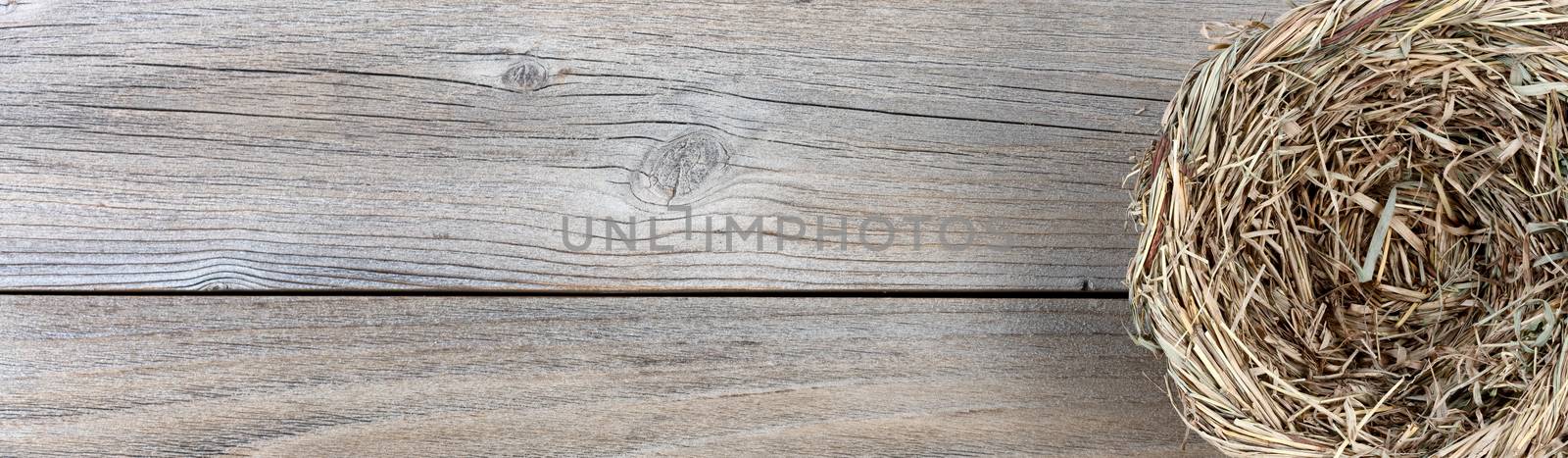 Natural bird nest on weathered wooden boards  by tab1962