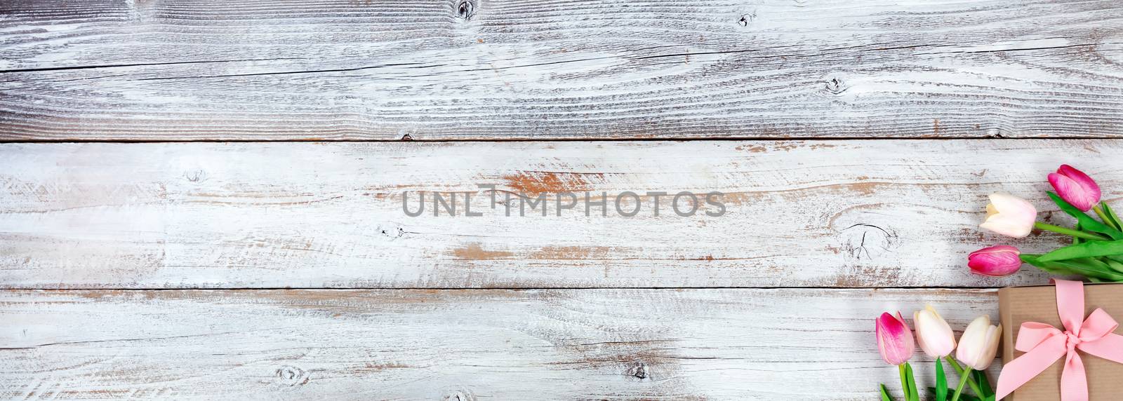 Spring still life image life with Easter and Mothers Day holiday concept on white rustic background with pink tulip flowers and a gift box