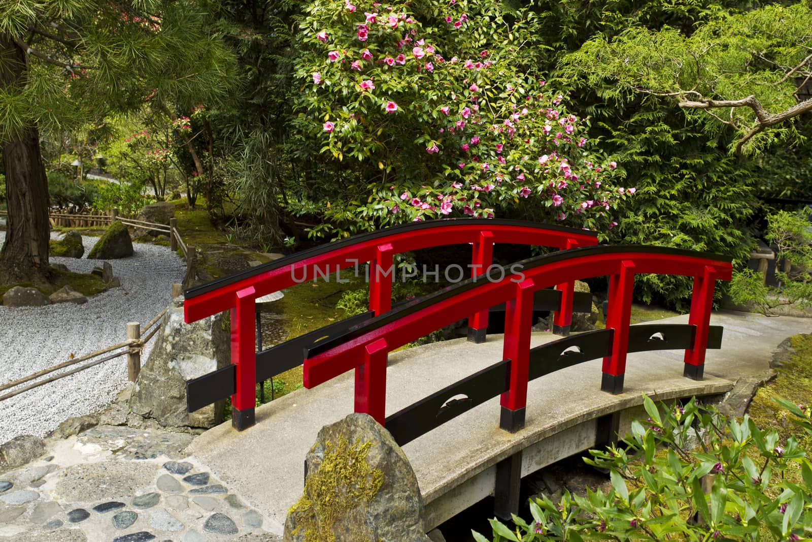 Japanese Garden with Red Bridge  by tab1962