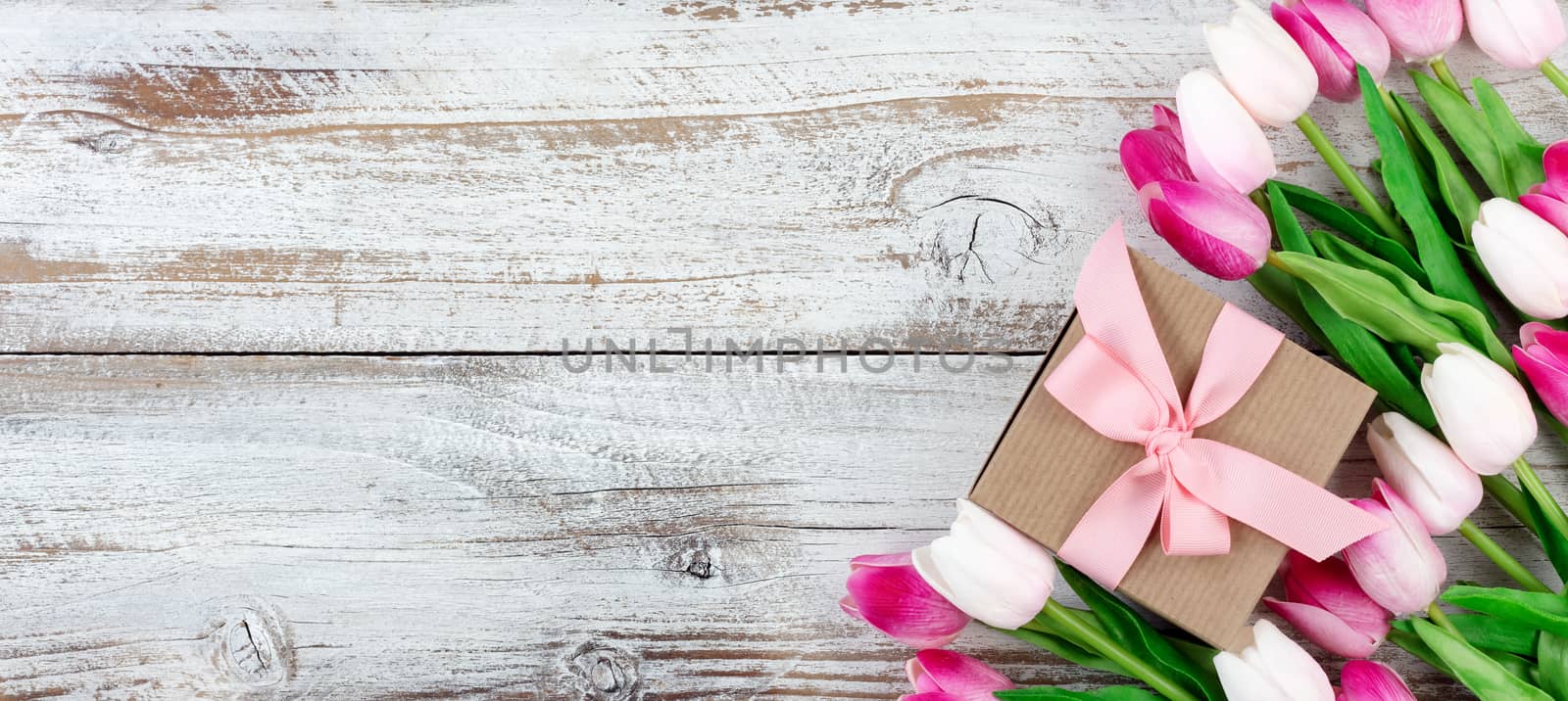 overhead view of a springtime pink tulips on white weathered wooden boards 