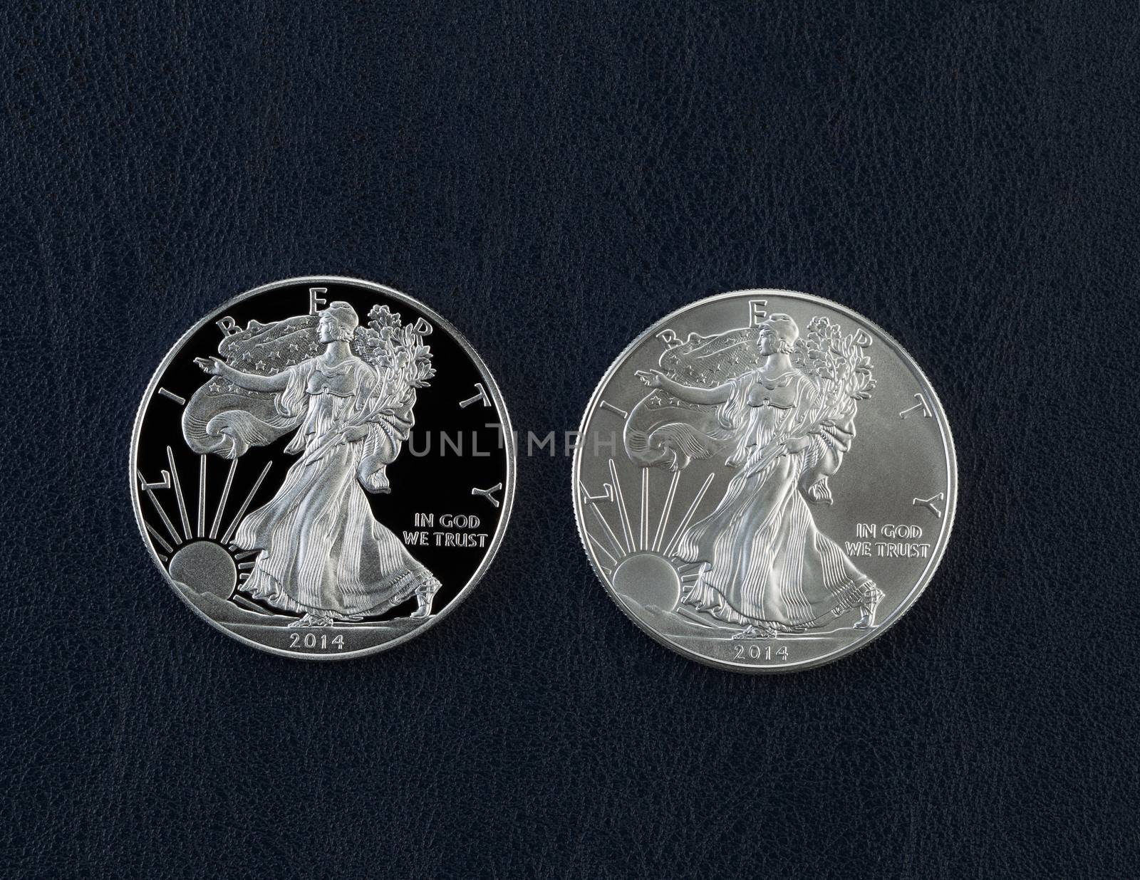 Proof and Uncirculated American Silver Eagle Dollar Coins by tab1962