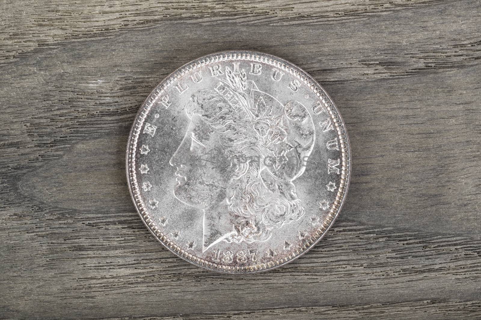 High Quality American Silver Dollar on fading white ash wood 