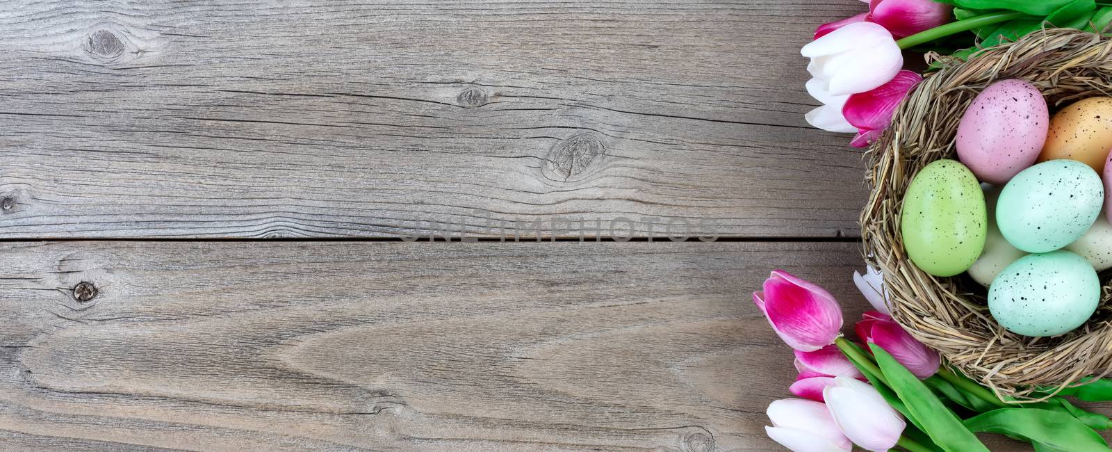 Natural bird nest with eggs and tulips on weathered wooden board by tab1962