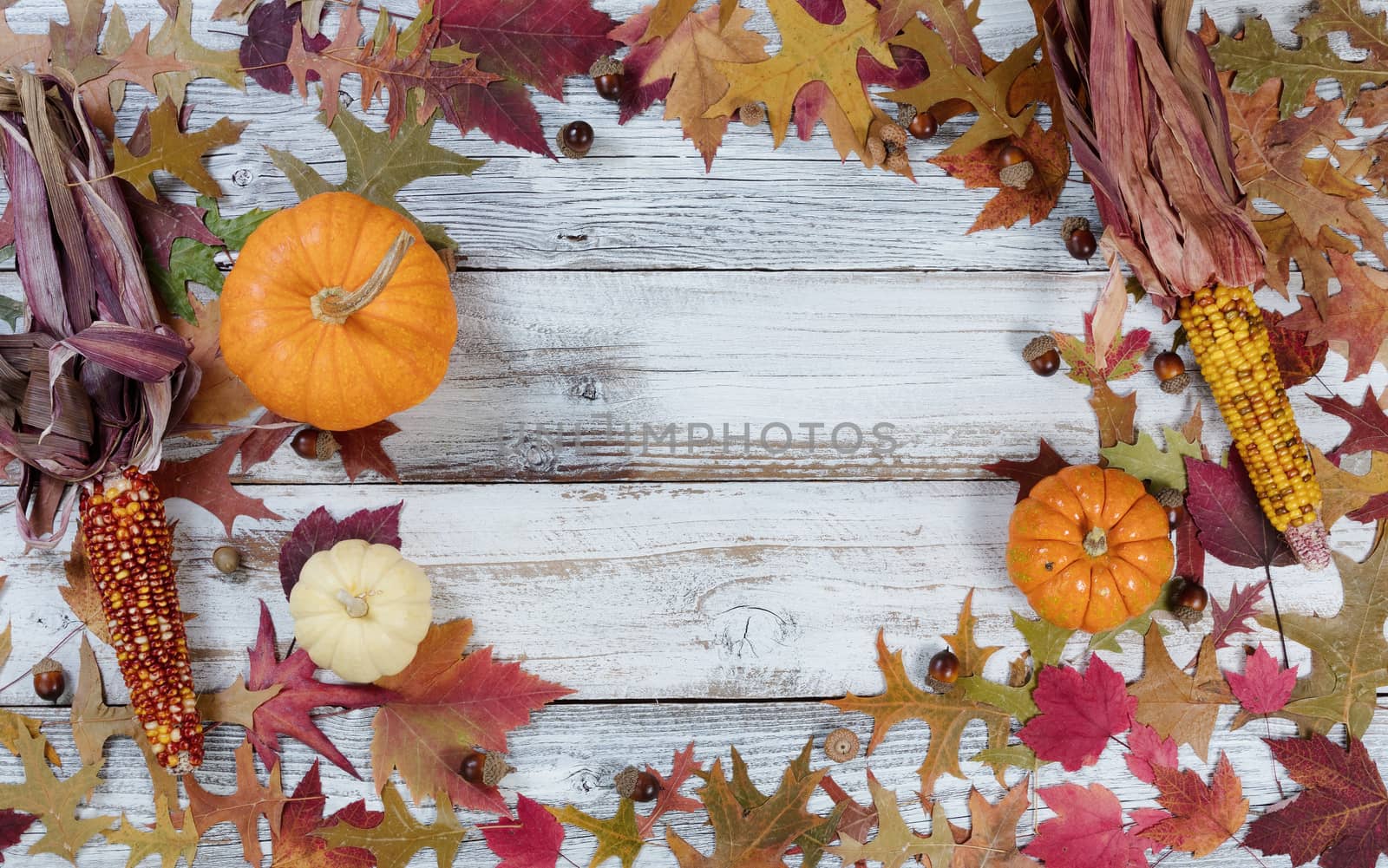 Seasonal Autumn decorations in circular border on rustic white wooden boards 