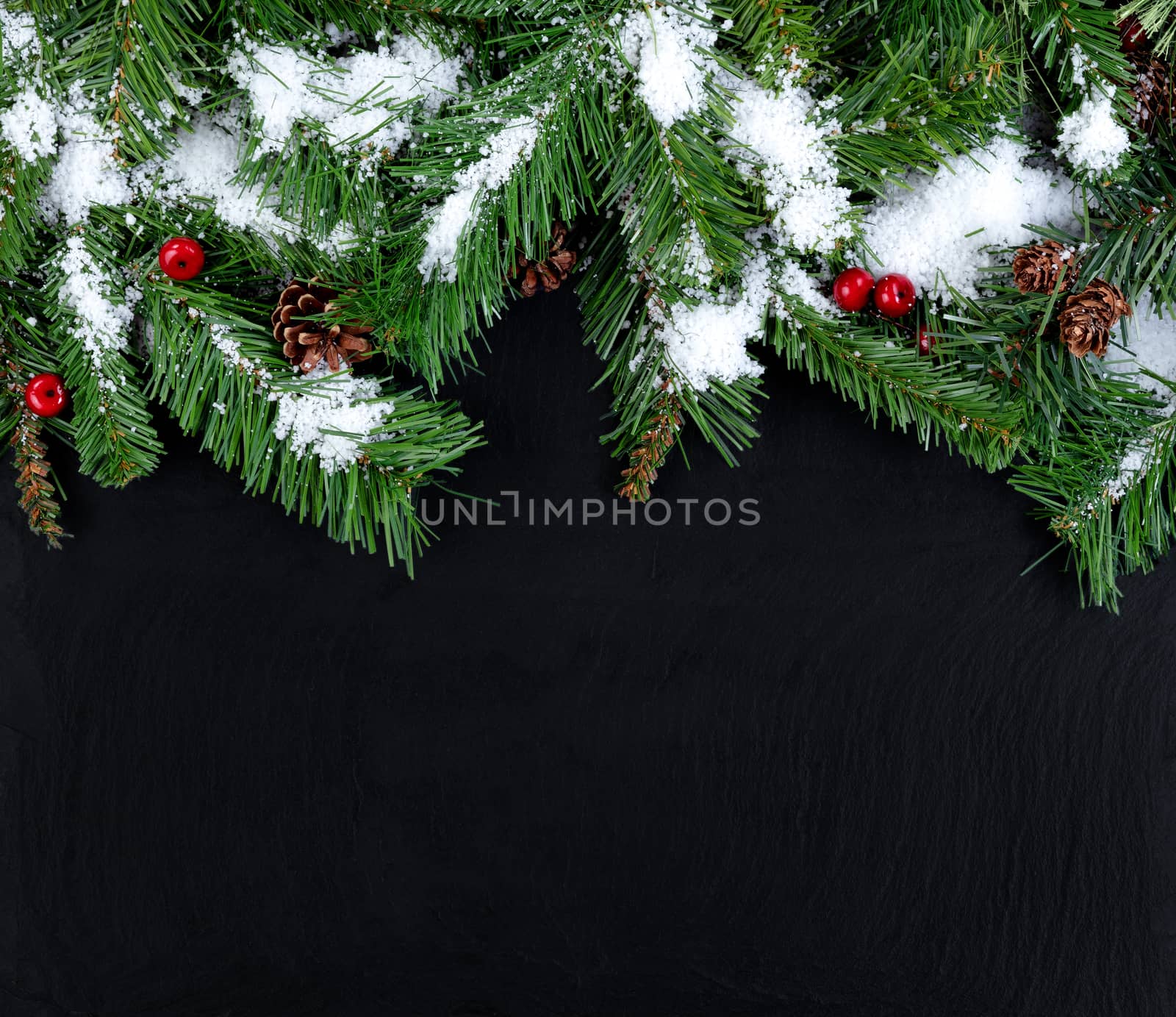 Top Border of Snowy evergreen tree branches on black stone backg by tab1962