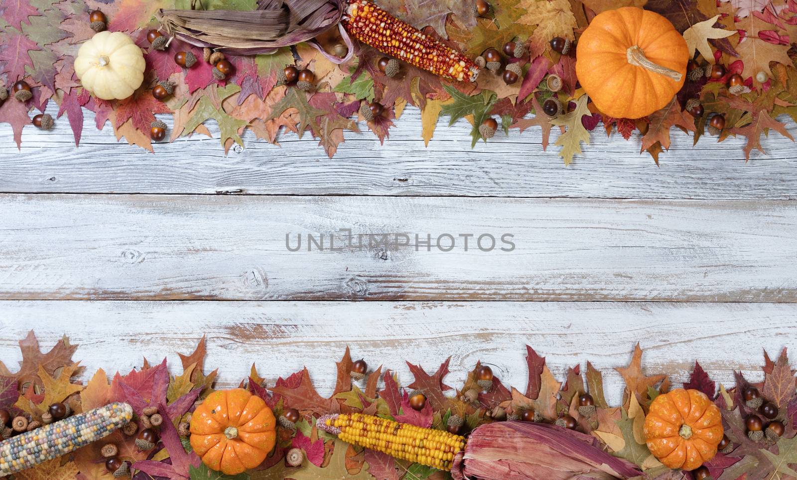 Top and bottom borders of Autumn Seasonal Decorations  by tab1962