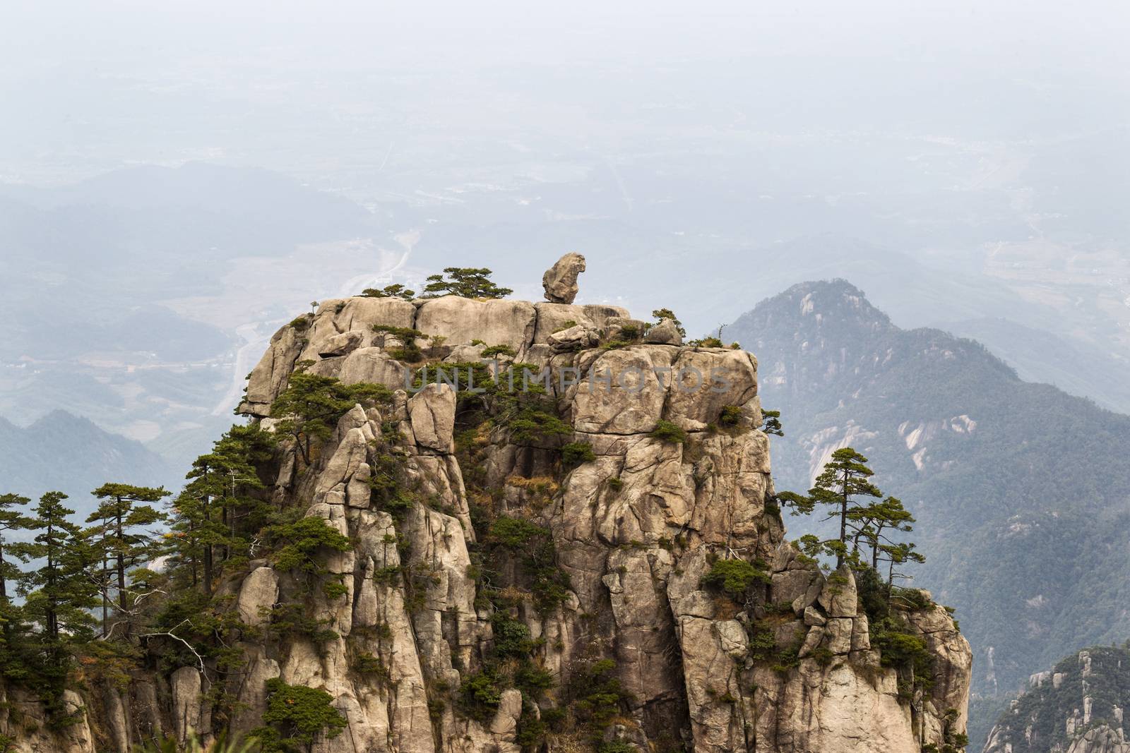 Natural Monkey Stone Statue in Yellow Mountains  by tab1962