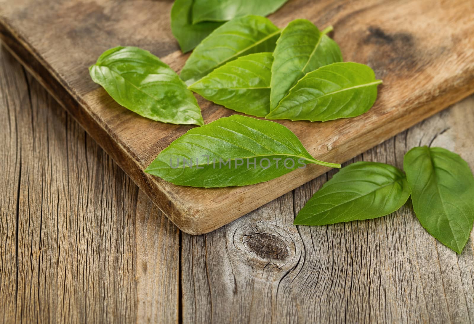 Close up fresh basil leafs on rustic serving board  by tab1962