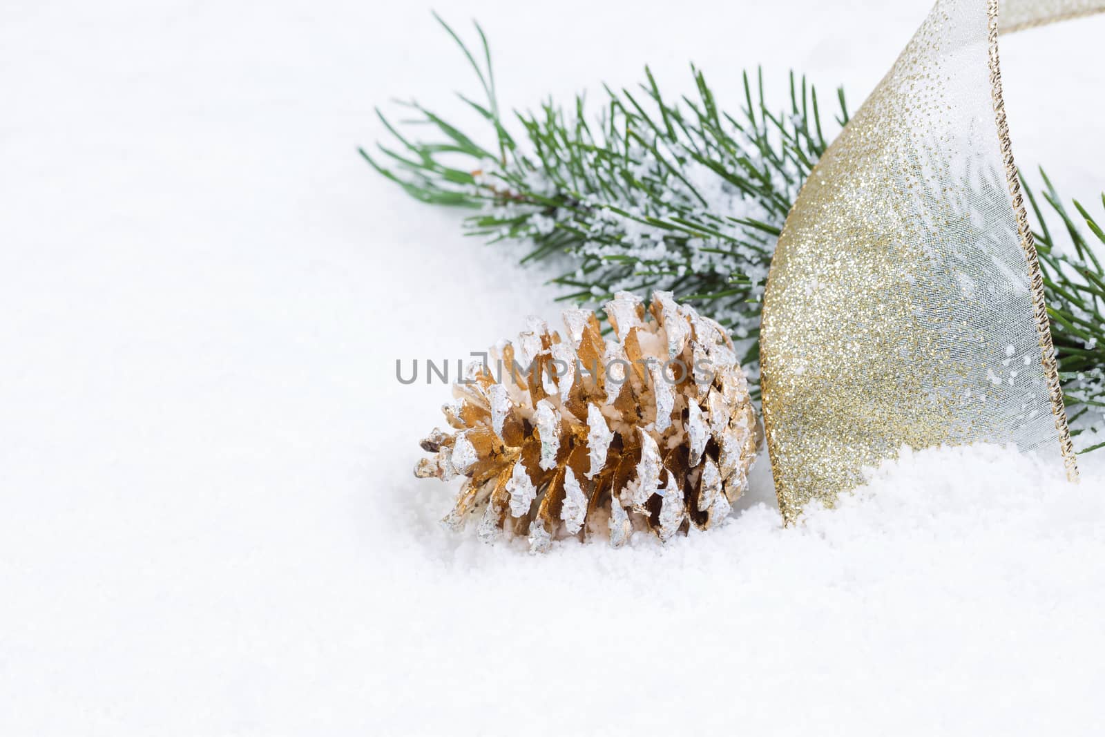 Closeup front view of golden pine cone with gold ribbon and fir branch covered in snow 