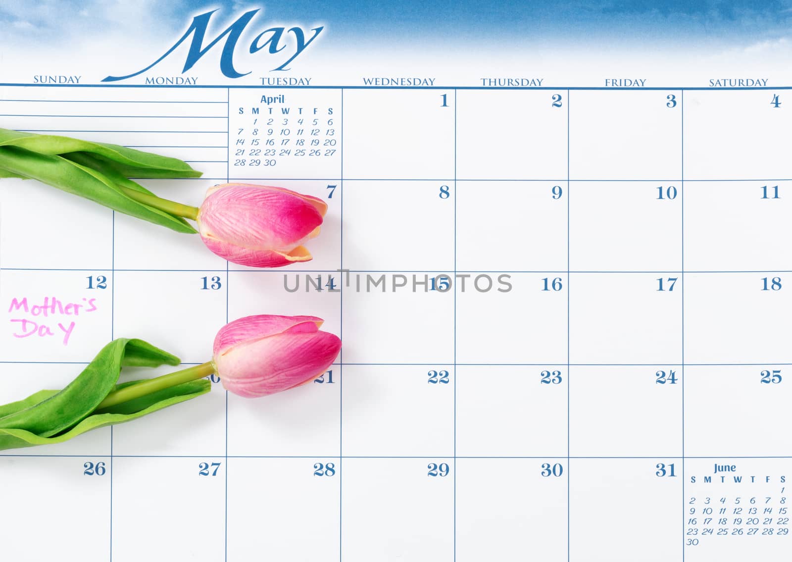 Mothers Day holiday marked on calendar with pink tulips   