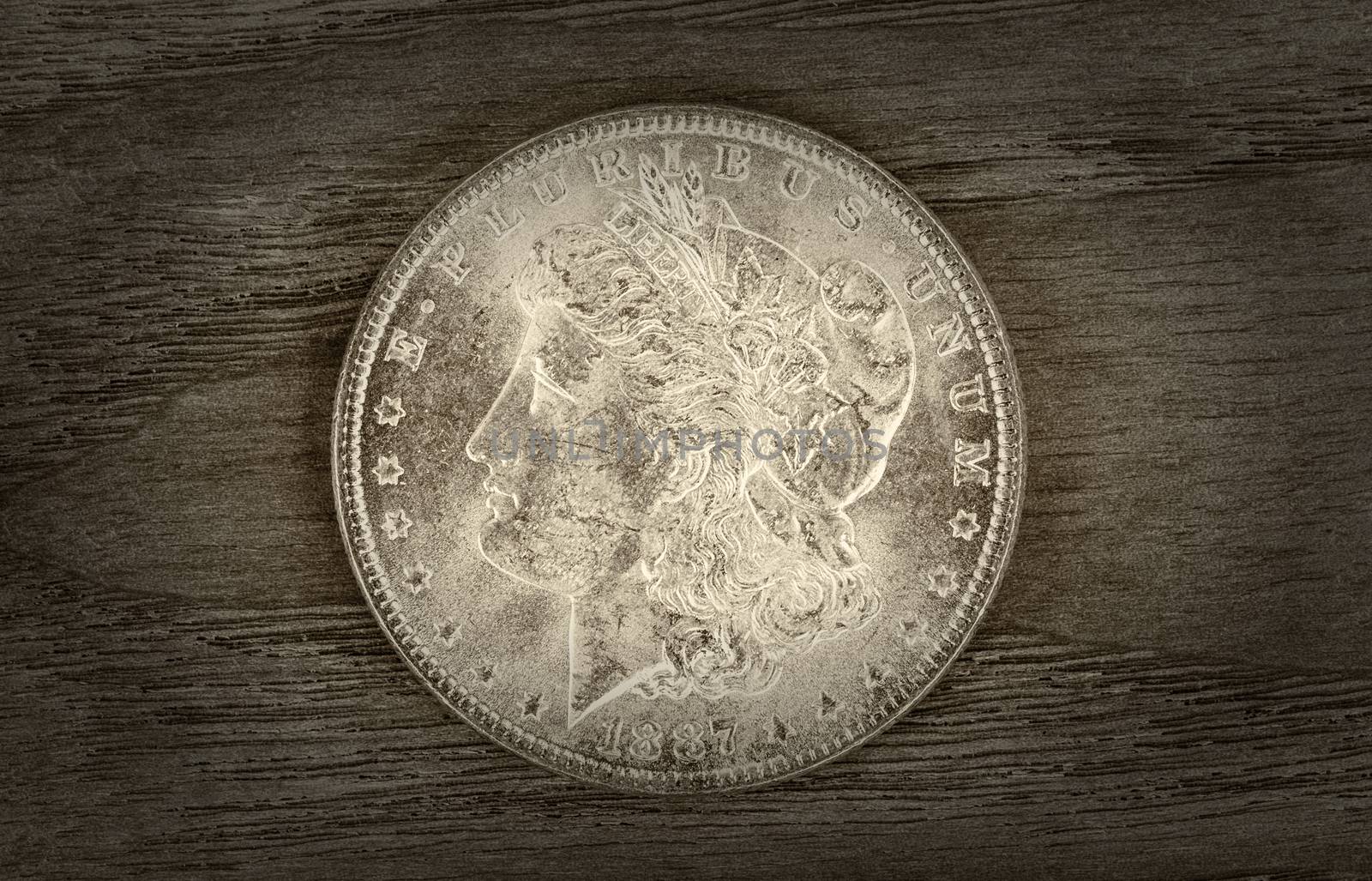 Old Silver Dollar  by tab1962