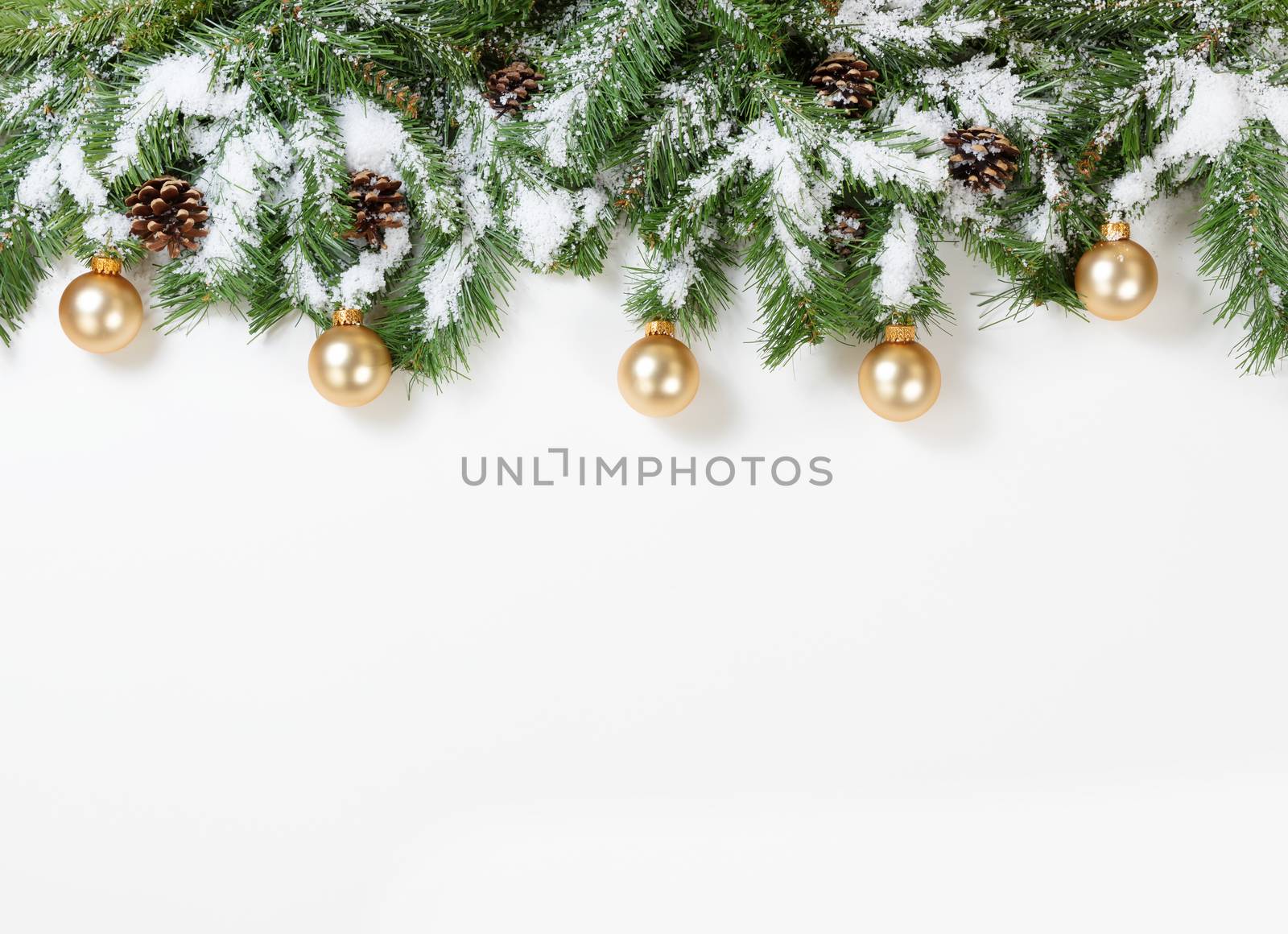 Snowy Christmas gold ornaments hanging in fir tree branches  by tab1962