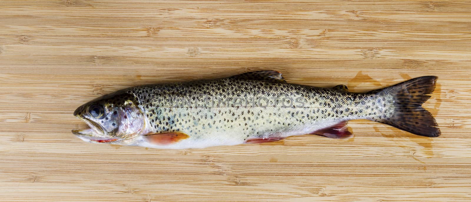 Fresh Wild Trout on Natural Bamboo Wood by tab1962