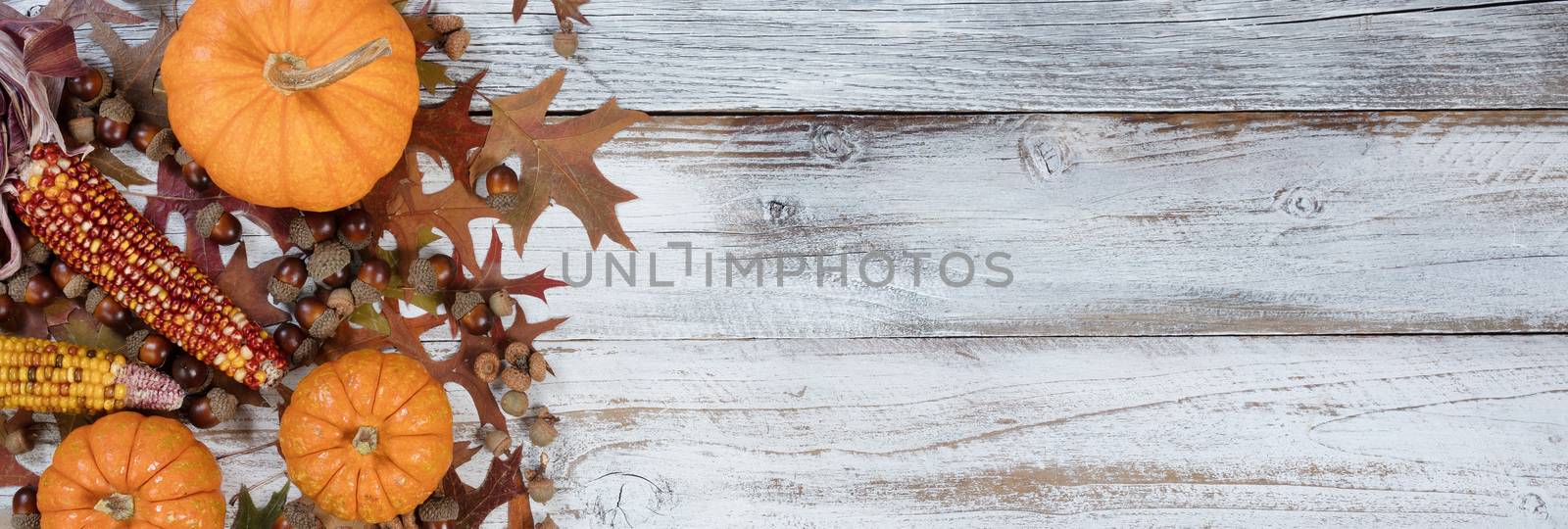 Autumn acorns, pumpkins, corn and leaves on rustic white wood ba by tab1962