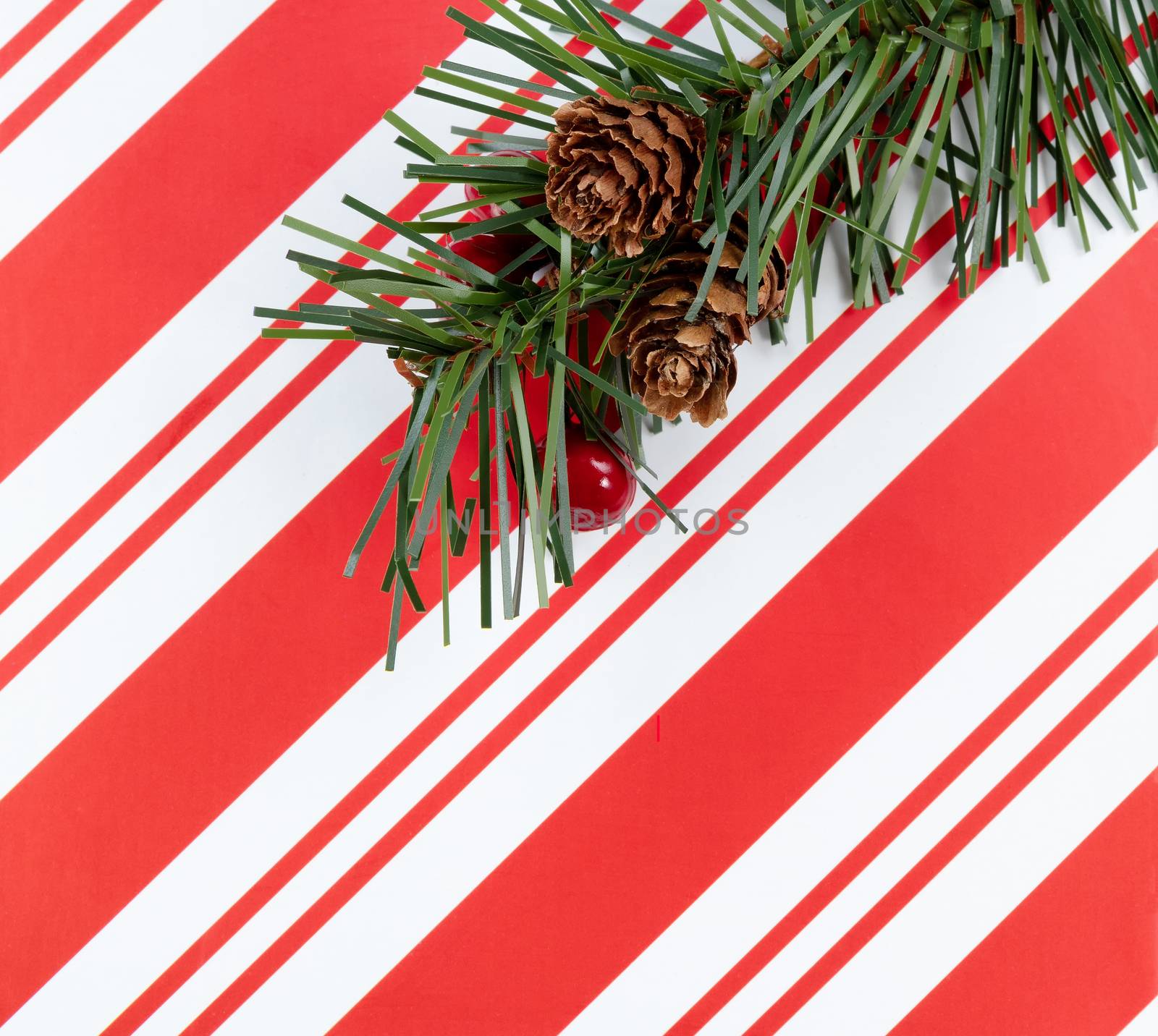 Christmas striped pattern with fir tree branch in filled frame format background 