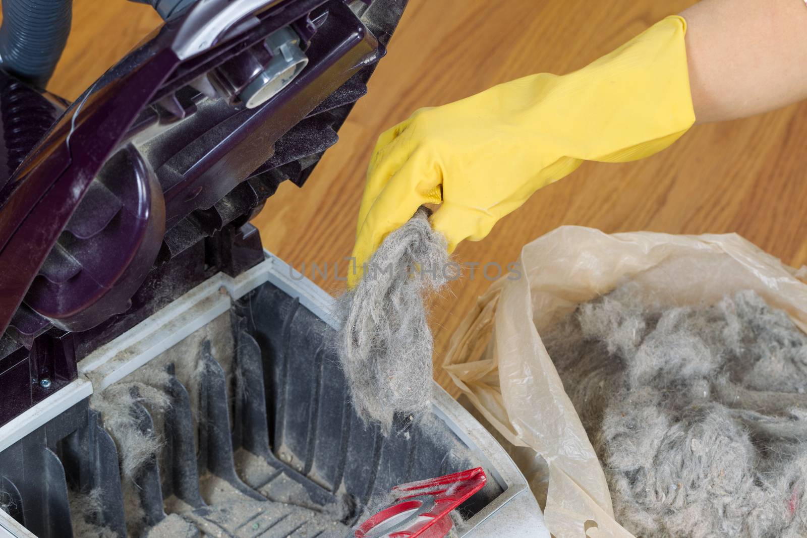 Horizontal photo of gloved hand removing dirt from vacuum cleaner into plastic bag with hardwood floors in background 