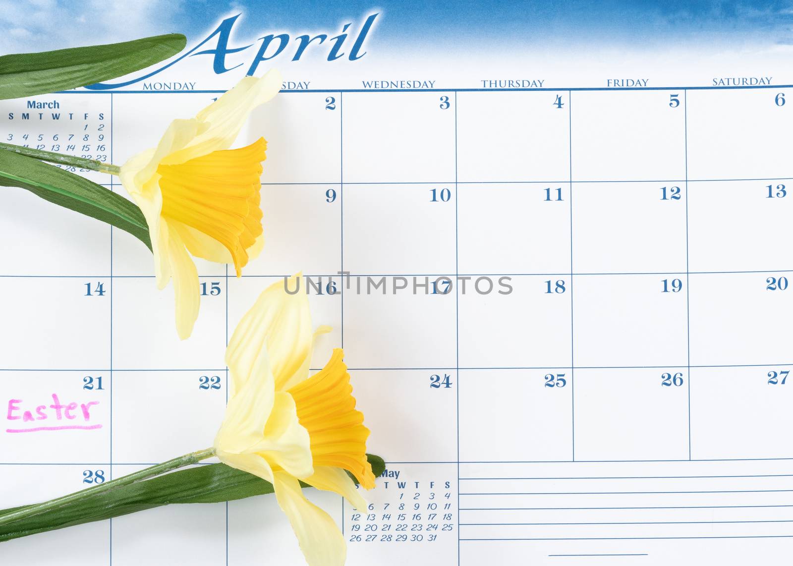 Easter holiday marked on calendar with yellow daffodils 