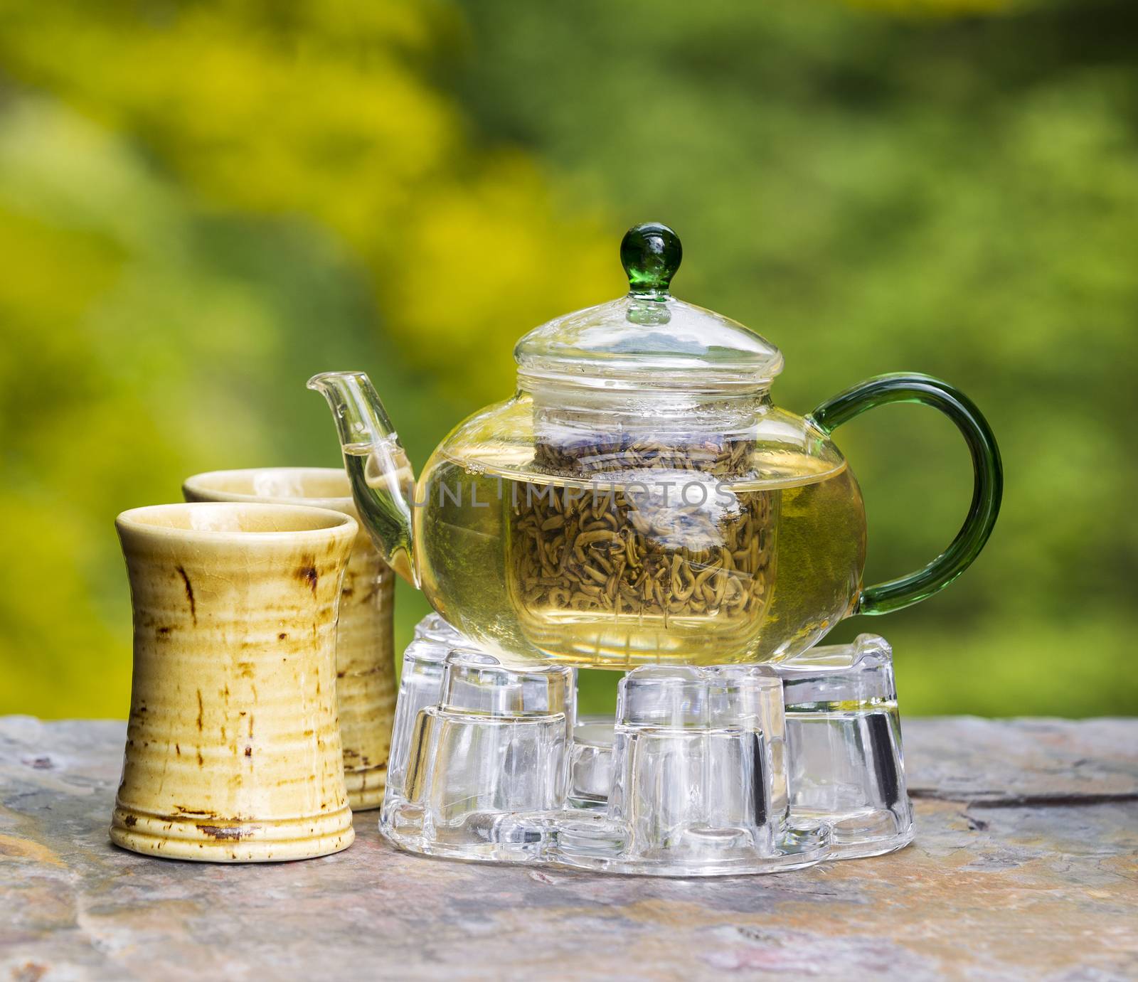 Photo of organic green tea in glass pot with ceramic cups on blurred out seasonal tree background 