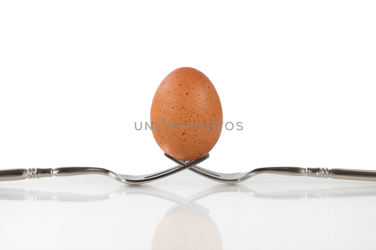 Close up of a whole brown egg balanced on two forks. Isolated on white background with egg in vertical position with reflection in front 