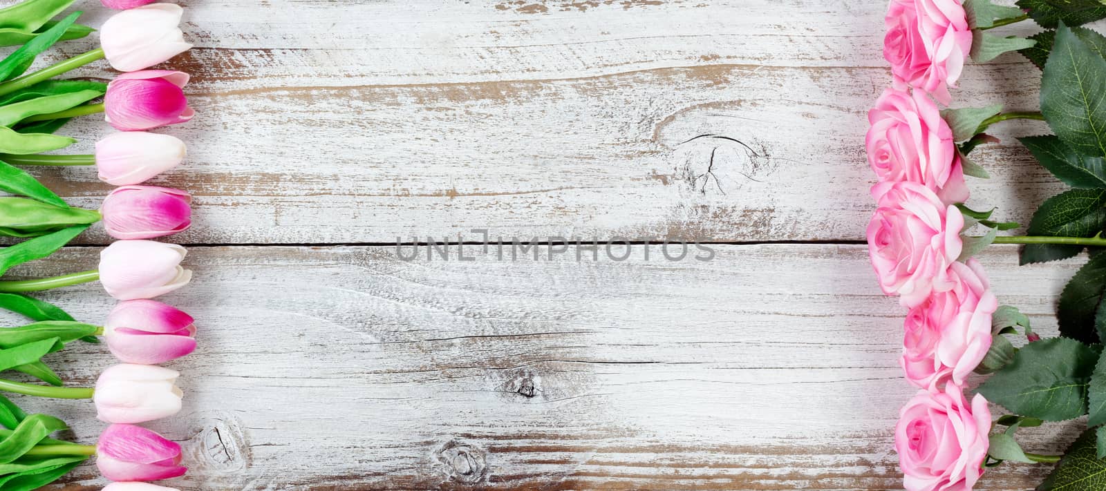 Pink roses and tulips forming right and left borders on white aged wooden boards