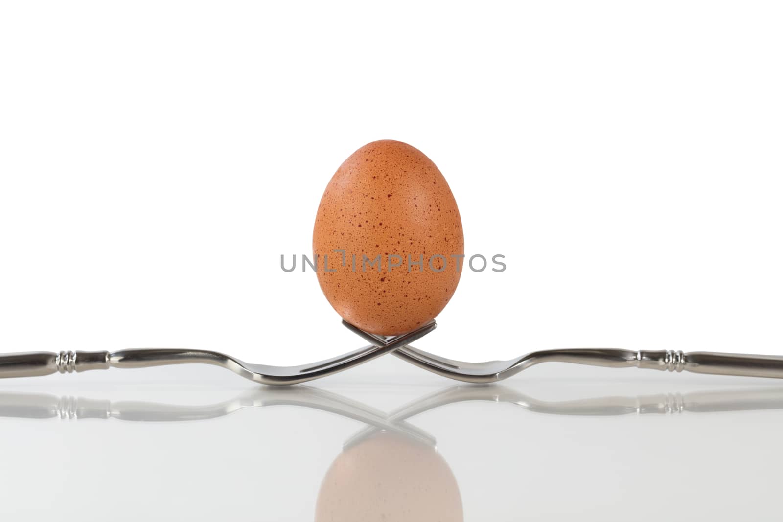 Close up of a whole brown egg balanced on two forks. Isolated on white background with egg in vertical position with reflection in front 