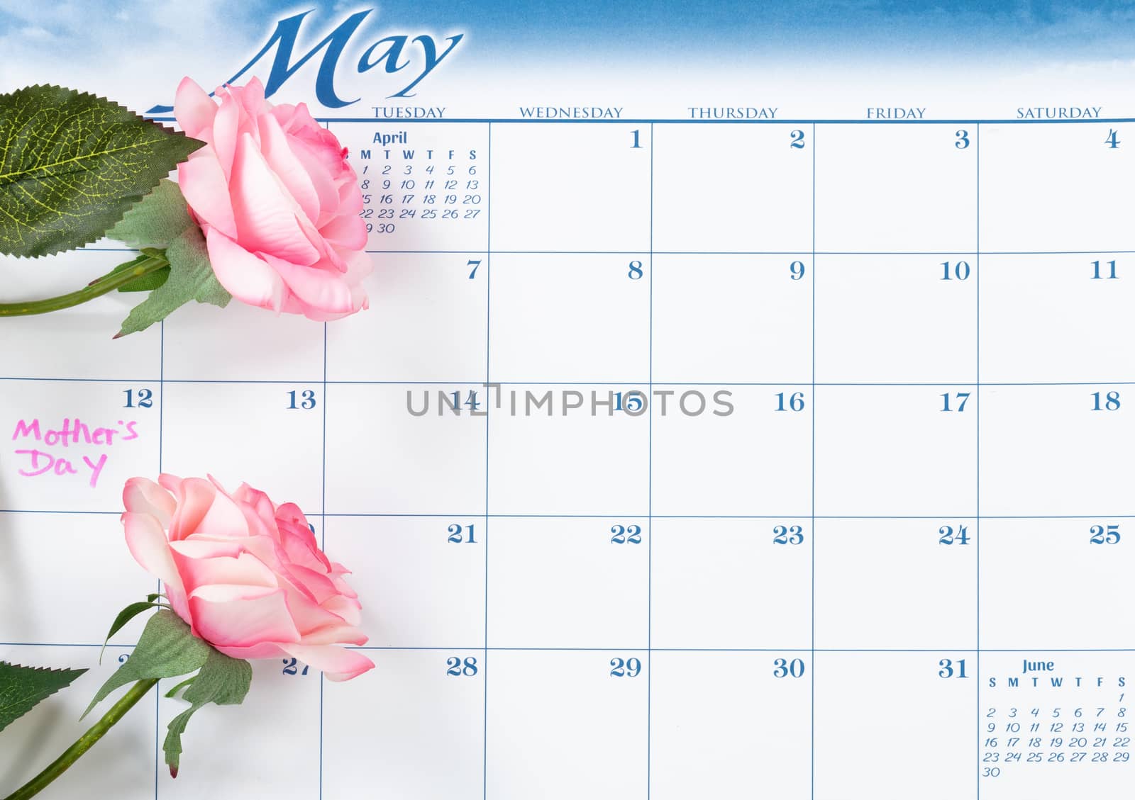 Mothers Day holiday date marked on calendar with pink roses by tab1962