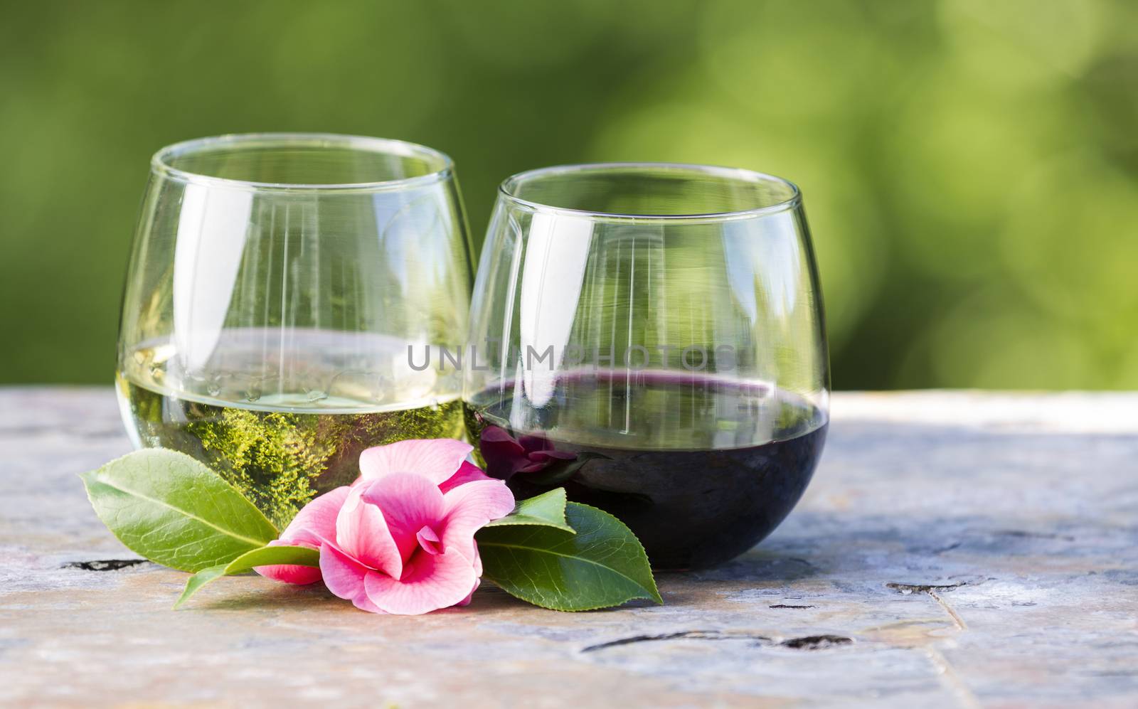 Horizontal photo of red and white wine in glasses with late spring pink flower on bright green background 