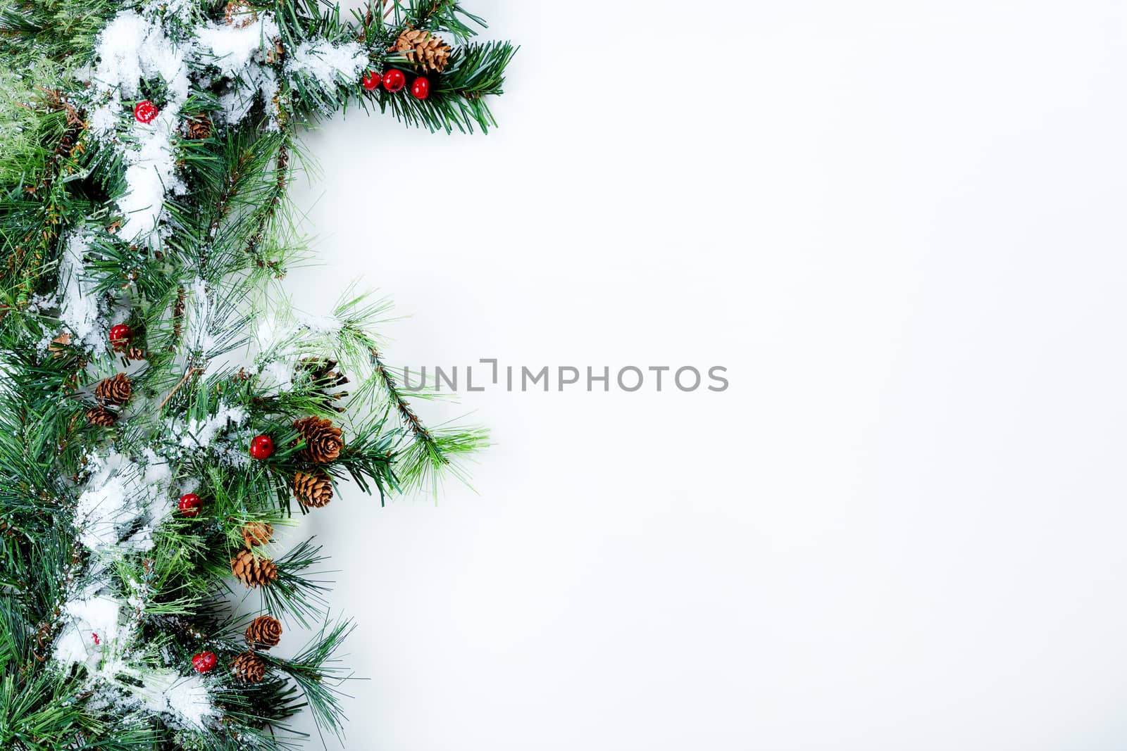 Snow on Christmas tree evergreen branches on left border of a white background  
