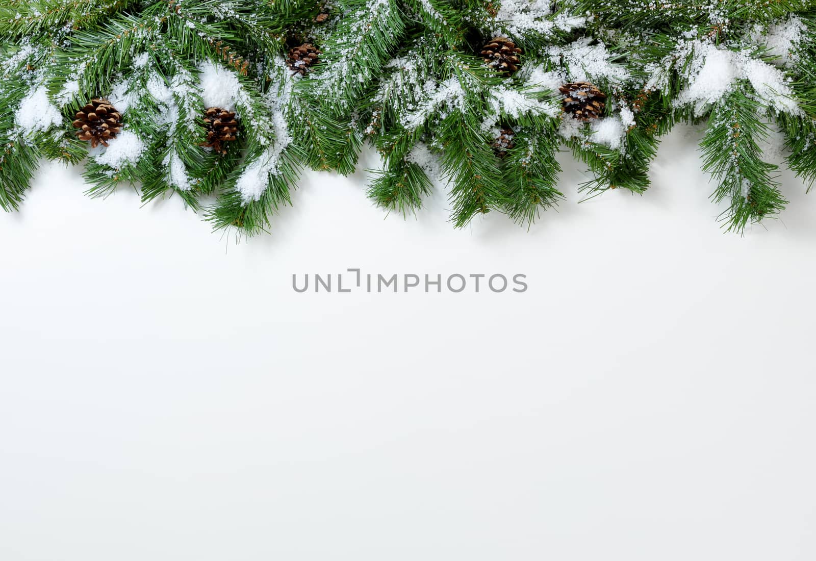 Snowy Christmas tree branches and pinecones on white background 