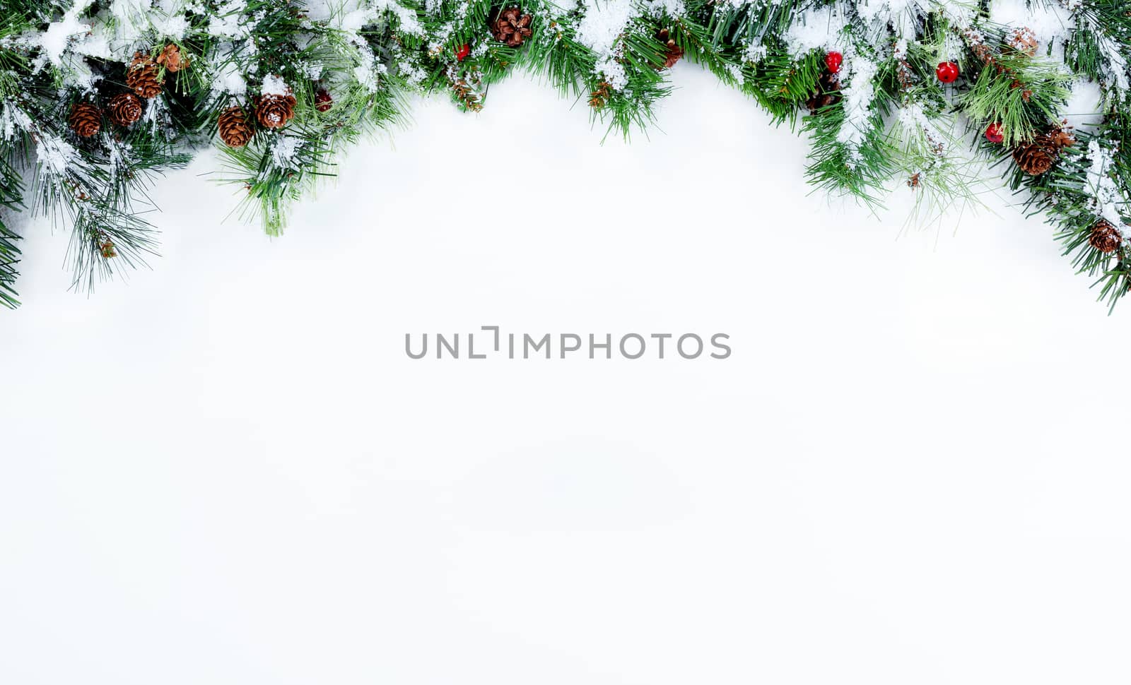 Top Border of Snowy Christmas tree evergreen branches on a white by tab1962
