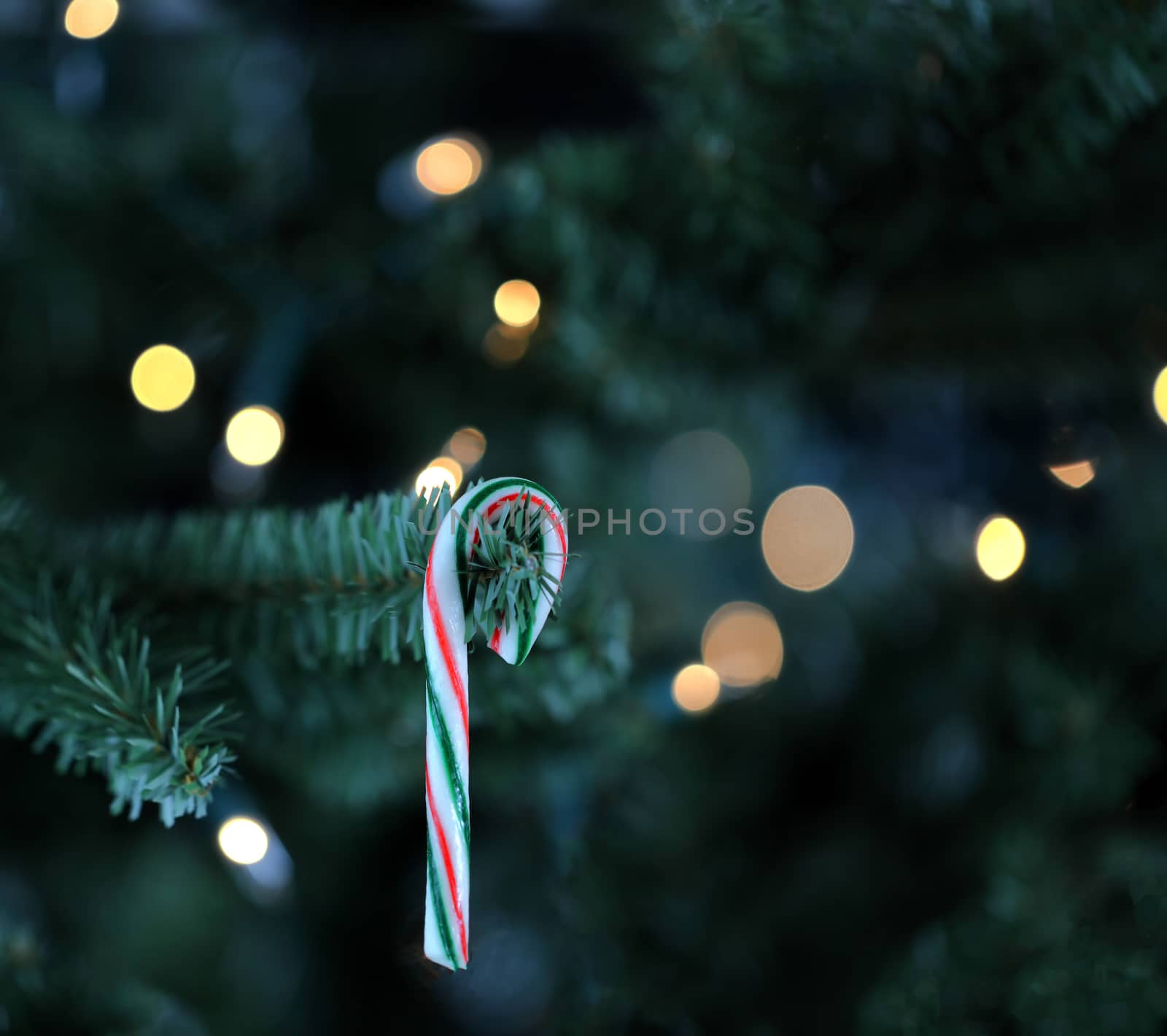 Traditional artificial Christmas tree with candy cane and white  by tab1962