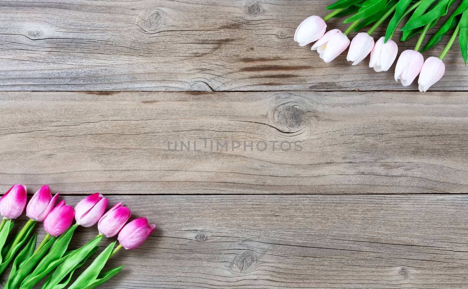 Tulips on rustic wooden boards for Easter Background 