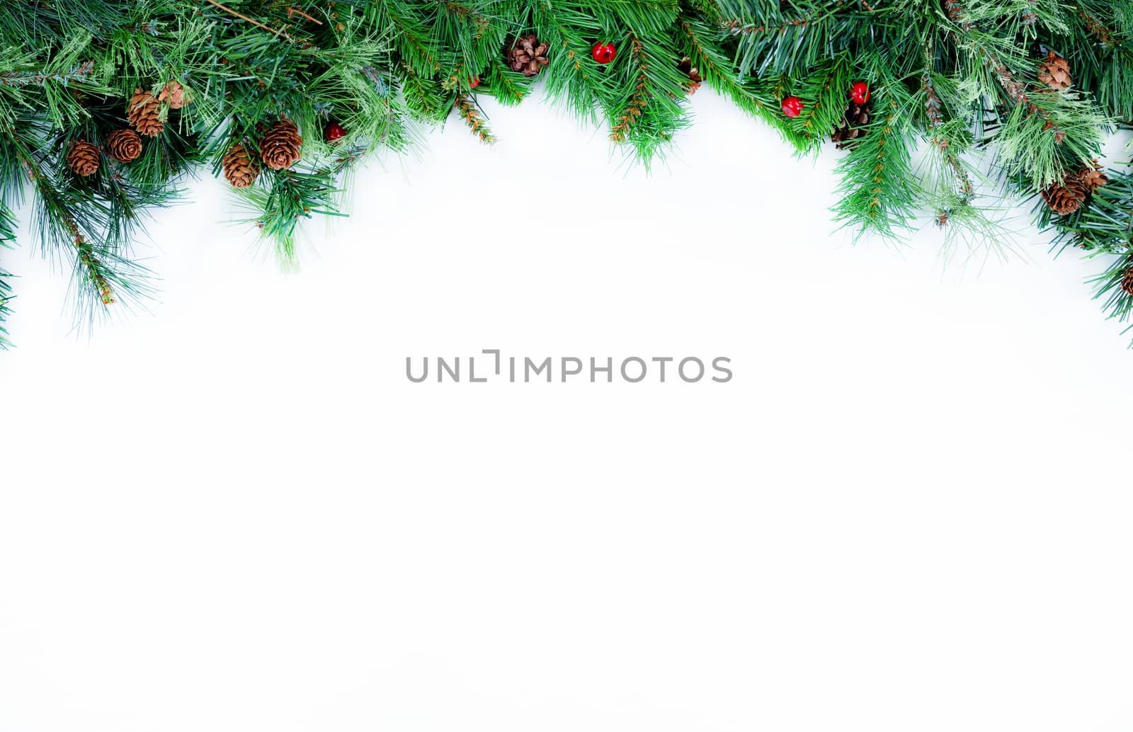 Christmas tree evergreen branches placed on top of a white background  
