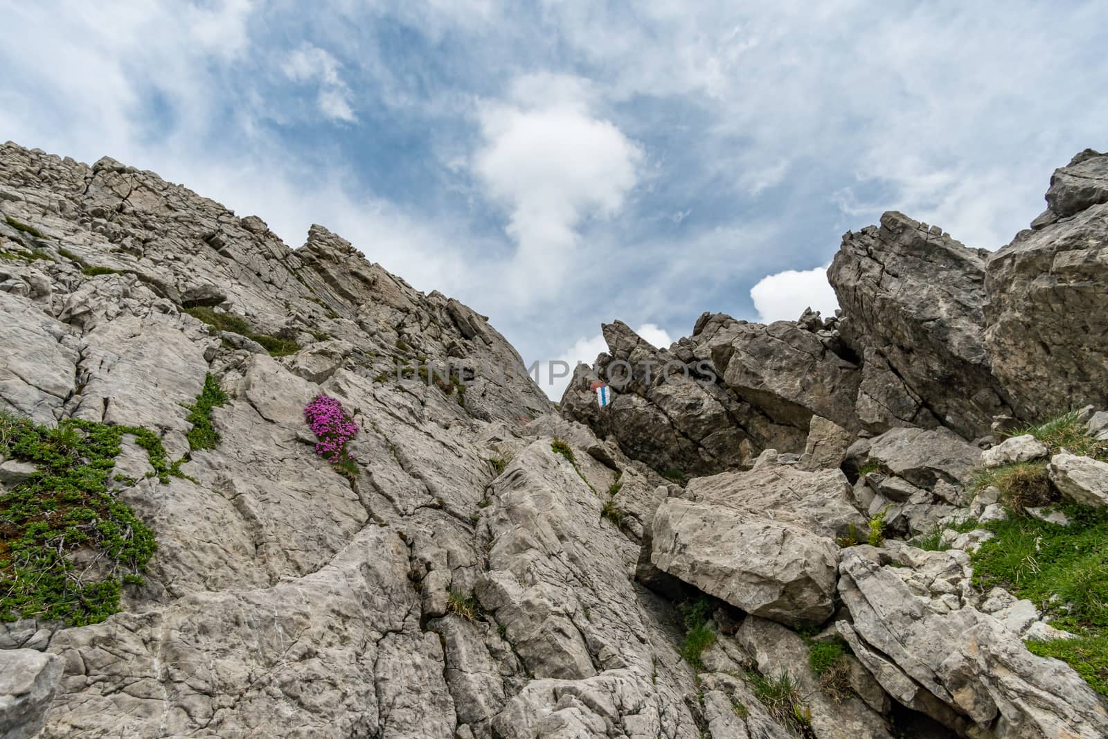 Beautiful mountain hike on the Great Widderstein in the Allgäu Alps in the Kleinwalsertal