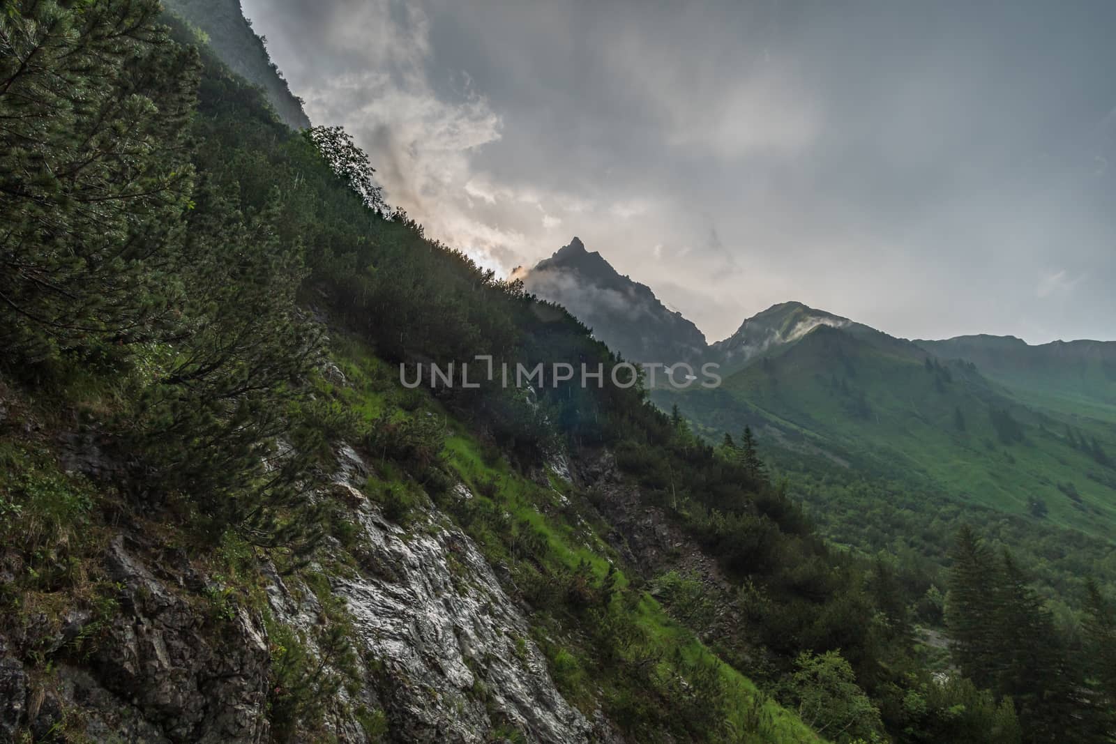 Beautiful mountain hike on the Great Widderstein in the Allgäu Alps in the Kleinwalsertal