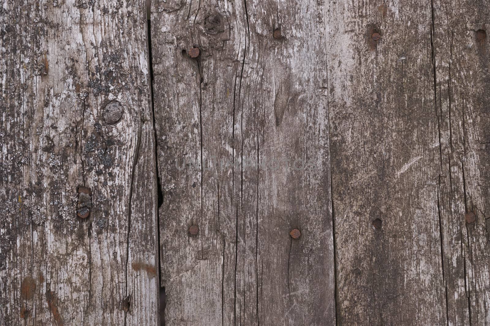 Old wooden texured surface closeup. Moss and relief on surface. Stock photo of old wooden pattern of aged boards with moss. Brown and gray colors on photo.