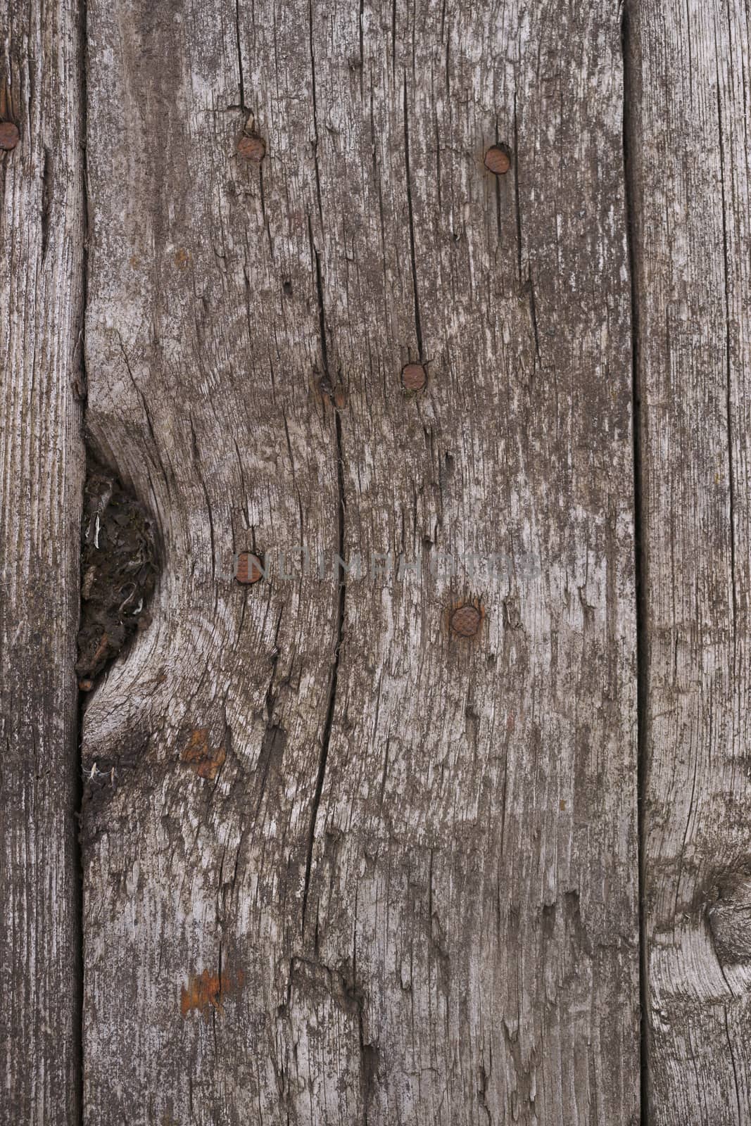 Old wooden texured surface closeup. Moss and relief on surface. Stock photo of old wooden pattern of aged boards with moss. Brown and gray colors on photo.