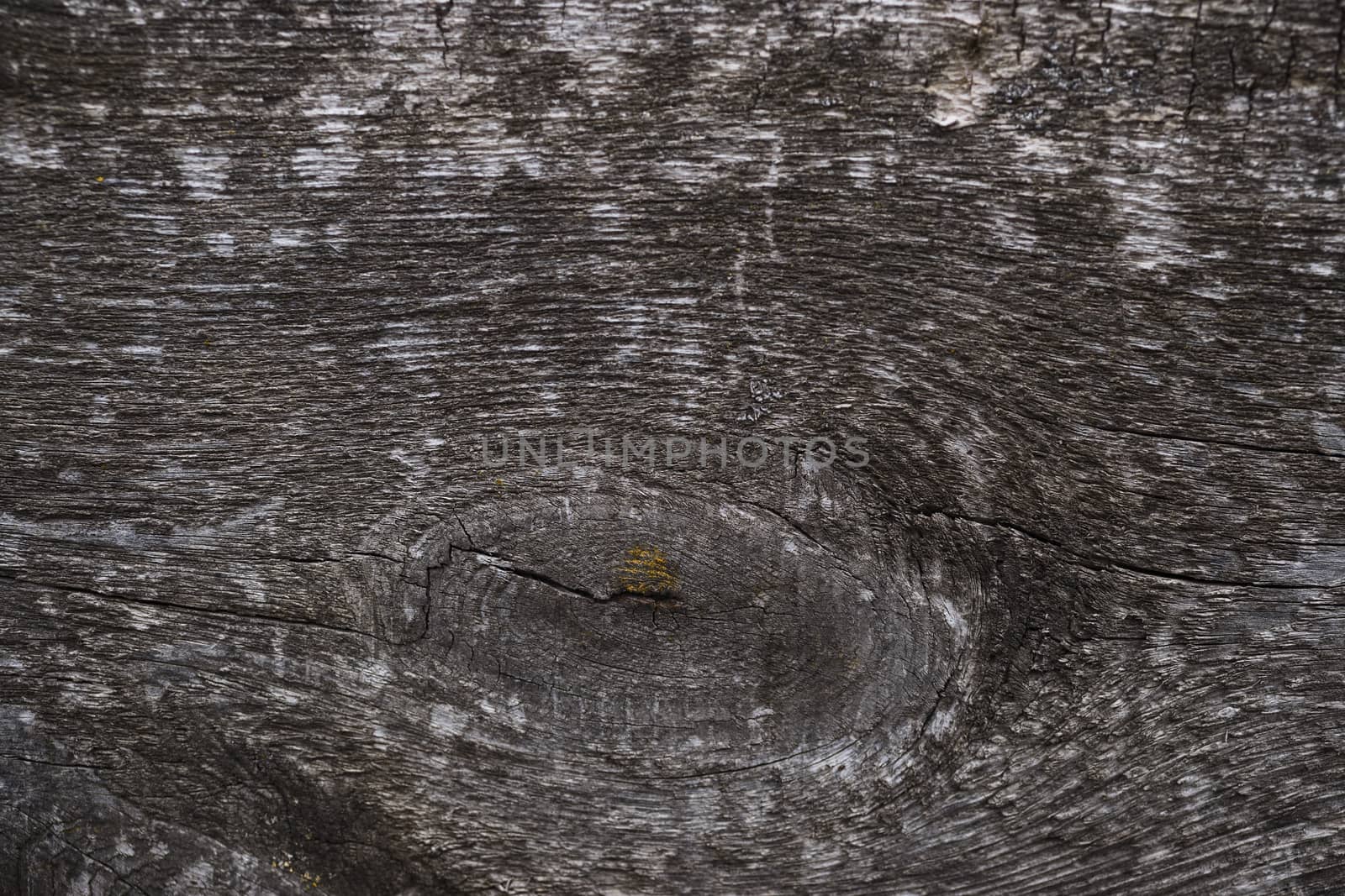 Old wooden texured surface closeup. Moss and relief on surface. Stock photo of old wooden pattern of aged boards with moss. Brown and gray colors on photo.