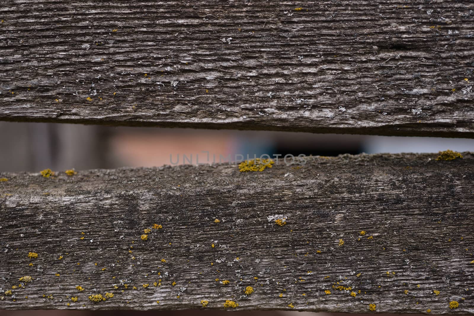 Old wooden texured surface closeup. Moss and relief on surface. Stock photo of old wooden pattern of aged boards with moss. Brown and gray colors on photo.