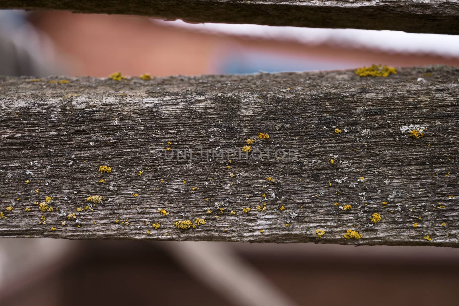 Old wooden texured surface closeup. Moss and relief on surface. Stock photo of old wooden pattern of aged boards with moss. Brown and gray colors on photo.