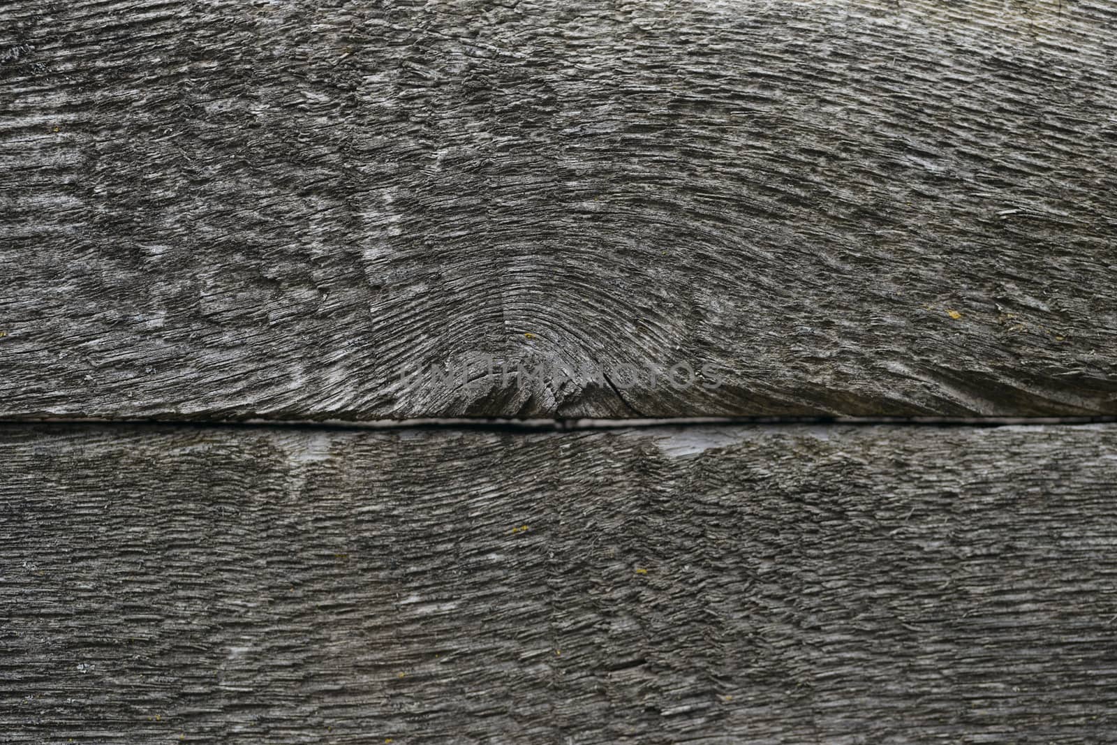 Old wooden texured surface closeup. Moss and relief on surface. Stock photo of old wooden pattern of aged boards with moss. Brown and gray colors on photo.