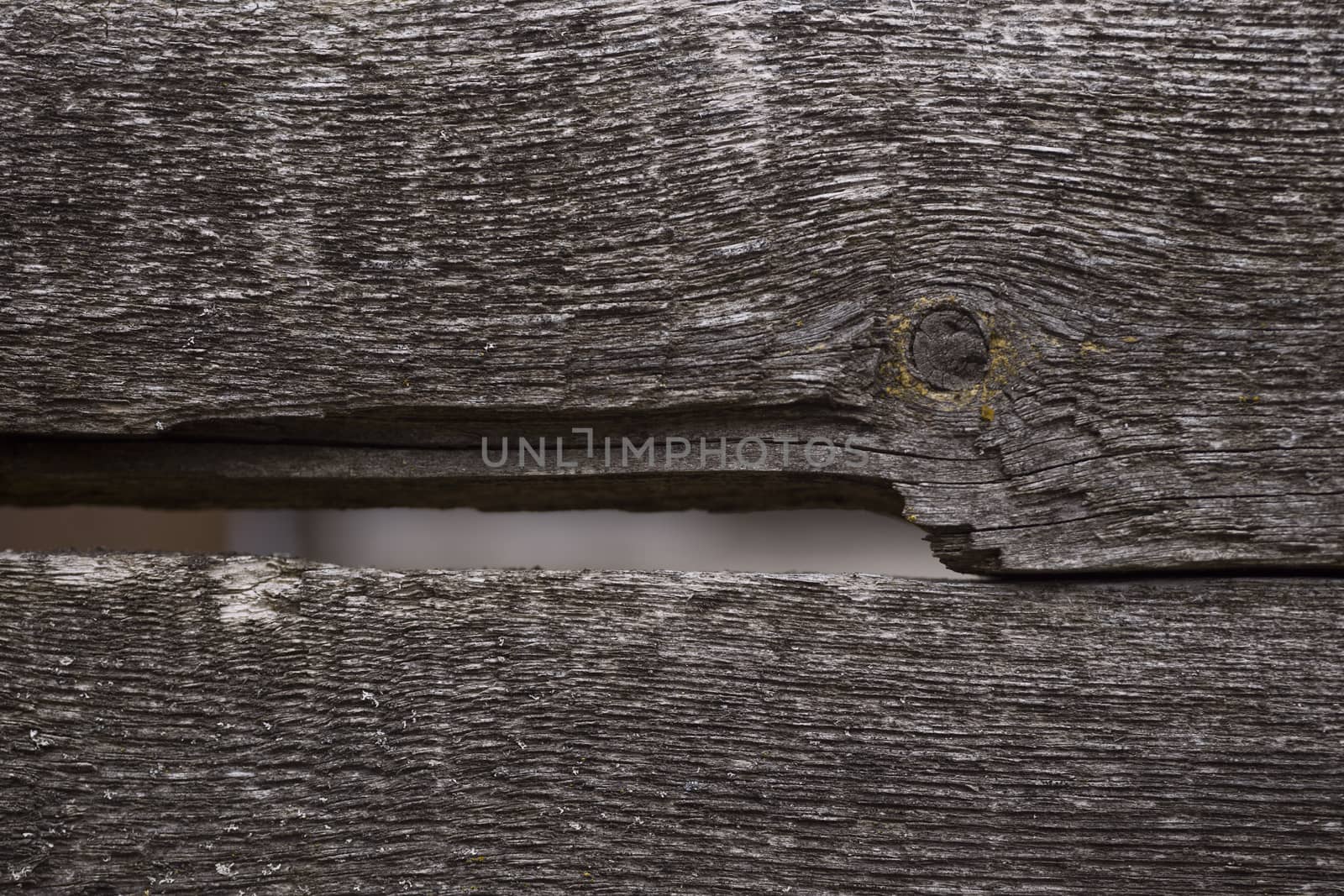 Old wooden texured surface closeup. Moss and relief on surface. Stock photo of old wooden pattern of aged boards with moss. Brown and gray colors on photo.